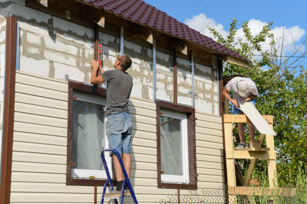Best Insulated Siding Installation  in Black Creek, WI