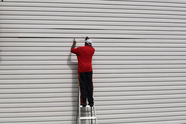 Black Creek, WI Siding Installation & Repair Company