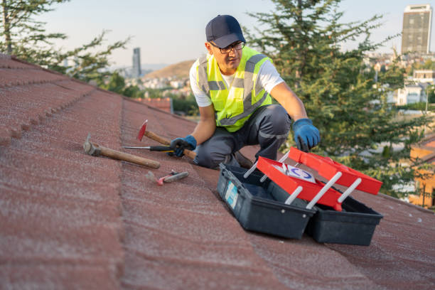 Best Historical Building Siding Restoration  in Black Creek, WI